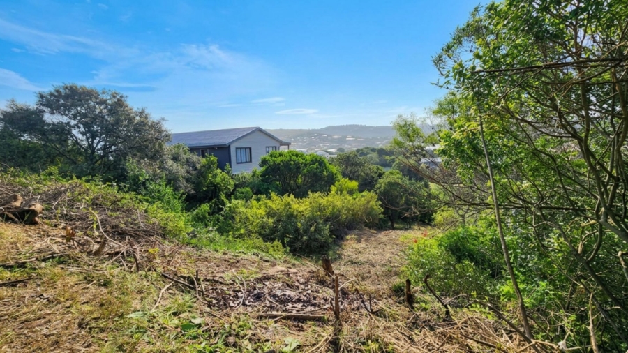 Commercial Property for Sale in Kingfisher Creek Western Cape